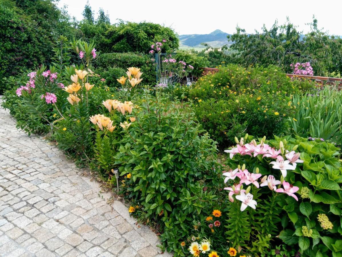 דירות Alijó Quinta Do Sol מראה חיצוני תמונה