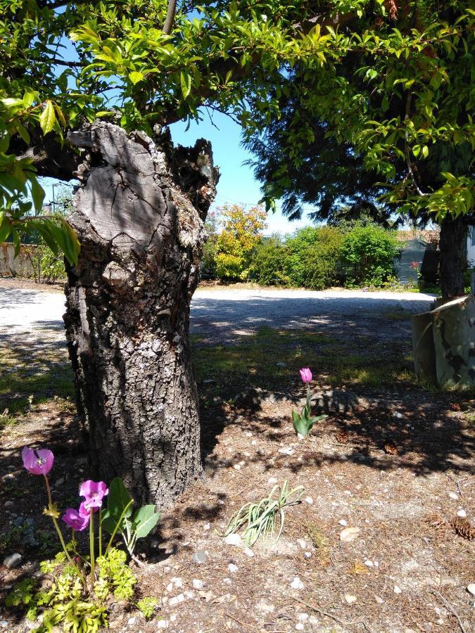דירות Alijó Quinta Do Sol מראה חיצוני תמונה
